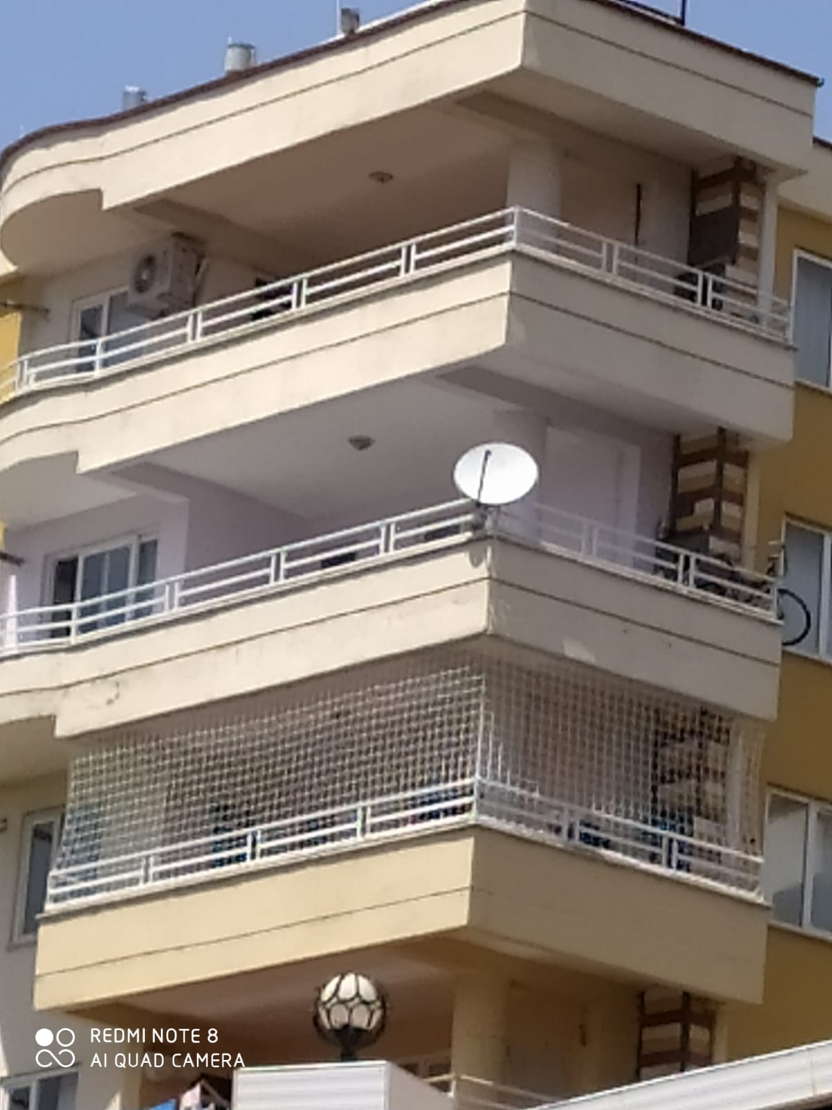 Kedi Filesi